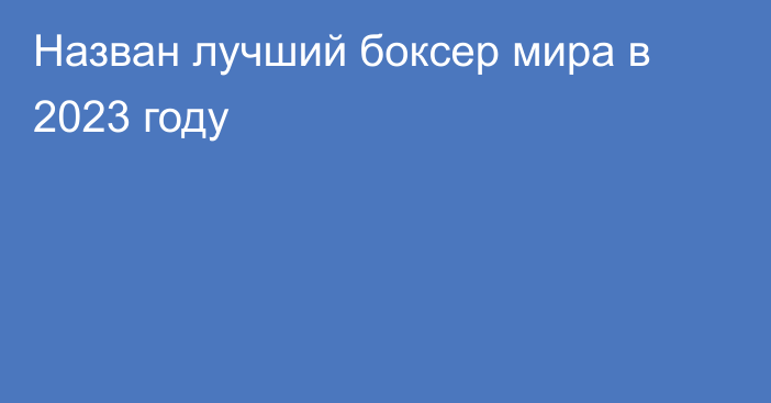 Назван лучший боксер мира в 2023 году