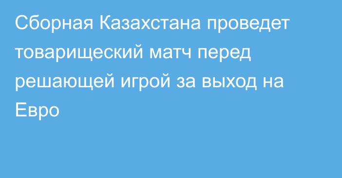 Сборная Казахстана проведет товарищеский матч перед решающей игрой за выход на Евро