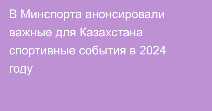 В Минспорта анонсировали важные для Казахстана спортивные события в 2024 году