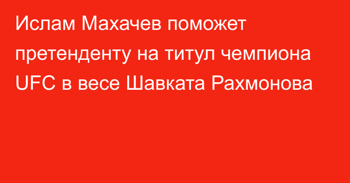 Ислам Махачев поможет претенденту на титул чемпиона UFC в весе Шавката Рахмонова