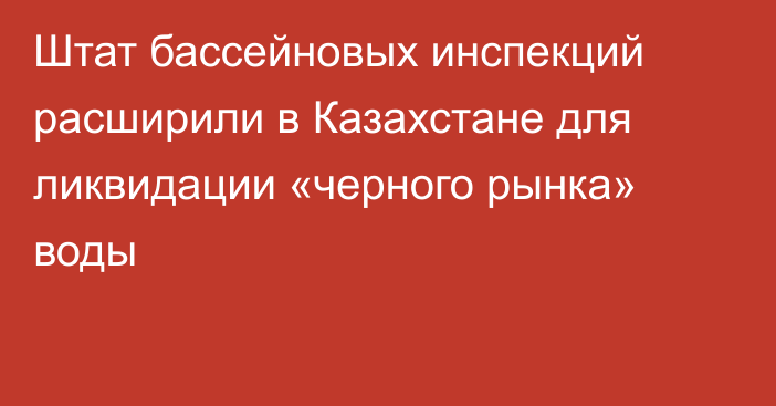 Штат бассейновых инспекций расширили в Казахстане для ликвидации «черного рынка» воды