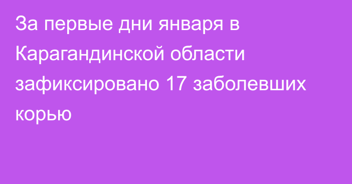 За первые дни января в Карагандинской области зафиксировано 17 заболевших корью