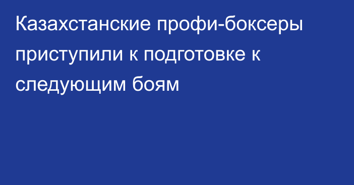 Казахстанские профи-боксеры приступили к подготовке к следующим боям