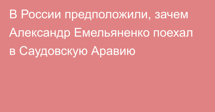 В России предположили, зачем Александр Емельяненко поехал в Саудовскую Аравию