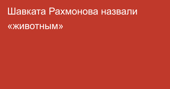 Шавката Рахмонова назвали «животным»