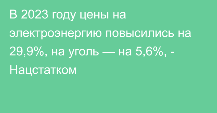 В 2023 году цены на электроэнергию повысились на 29,9%, на уголь — на 5,6%, - Нацстатком