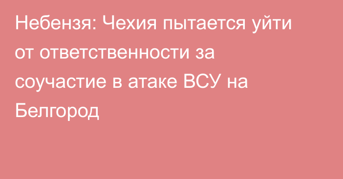 Небензя: Чехия пытается уйти от ответственности за соучастие в атаке ВСУ на Белгород