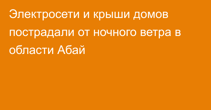 Электросети и крыши домов пострадали от ночного ветра в области Абай