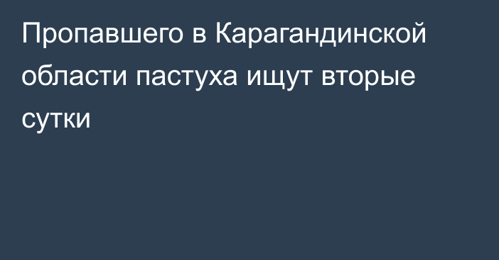 Пропавшего в Карагандинской области пастуха ищут вторые сутки