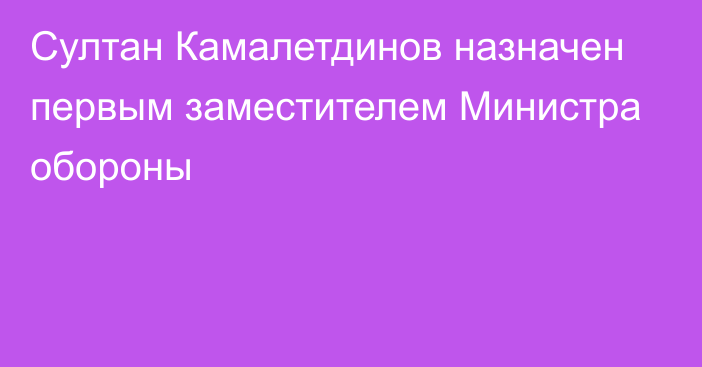 Султан Камалетдинов назначен первым заместителем Министра обороны