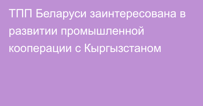 ТПП Беларуси заинтересована в развитии промышленной кооперации с Кыргызстаном