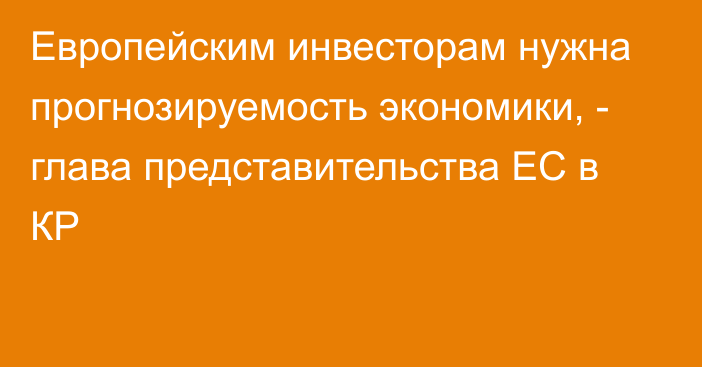 Европейским инвесторам нужна прогнозируемость экономики, - глава представительства ЕС в КР