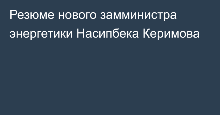 Резюме нового замминистра энергетики Насипбека Керимова