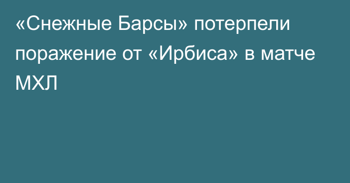 «Снежные Барсы» потерпели поражение от «Ирбиса» в матче МХЛ