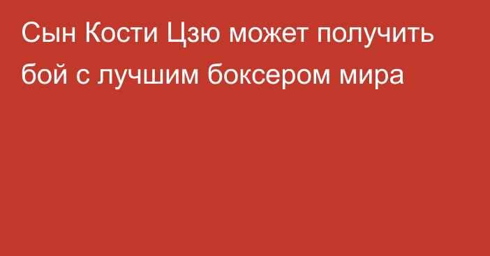 Сын Кости Цзю может получить бой с лучшим боксером мира