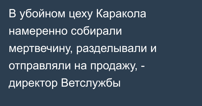 В убойном цеху Каракола намеренно собирали мертвечину, разделывали и отправляли на продажу, - директор Ветслужбы