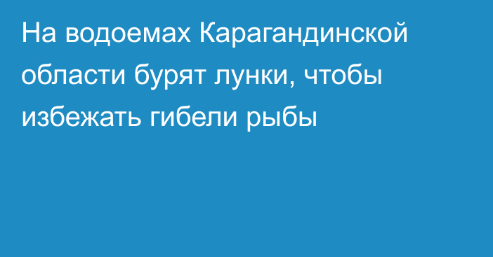 На водоемах Карагандинской области бурят лунки, чтобы избежать гибели рыбы