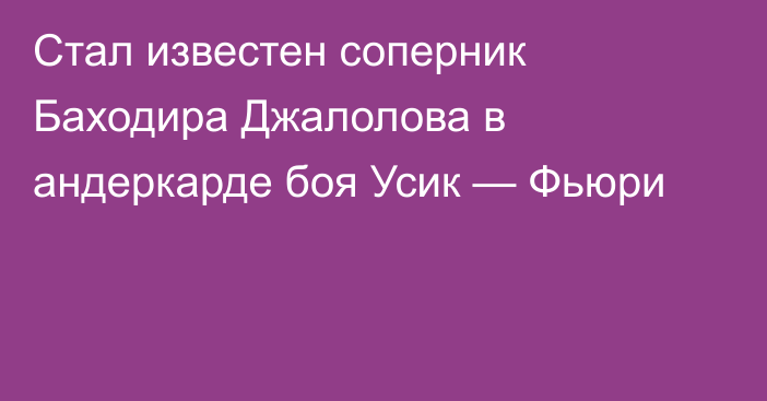 Стал известен соперник Баходира Джалолова в андеркарде боя Усик — Фьюри