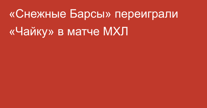 «Снежные Барсы» переиграли «Чайку» в матче МХЛ