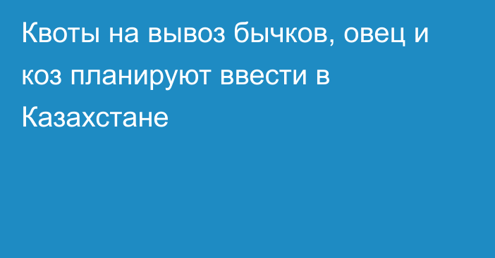 Квоты на вывоз бычков, овец и коз планируют ввести в Казахстане