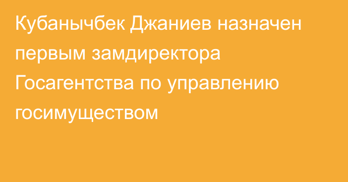 Кубанычбек Джаниев назначен первым замдиректора Госагентства по управлению госимуществом