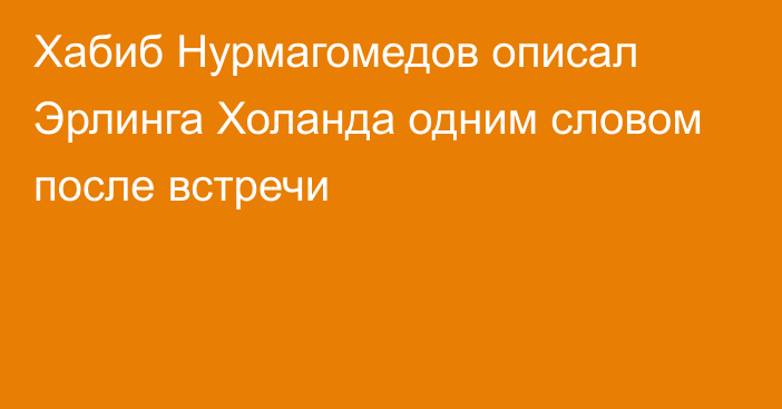 Хабиб Нурмагомедов описал Эрлинга Холанда одним словом после встречи