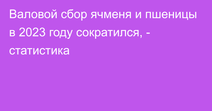 Валовой сбор ячменя и пшеницы в 2023 году сократился, - статистика