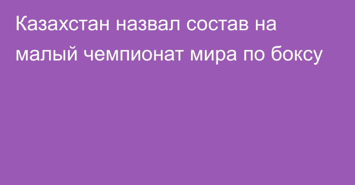 Казахстан назвал состав на малый чемпионат мира по боксу