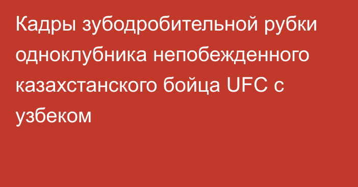 Кадры зубодробительной рубки одноклубника непобежденного казахстанского бойца UFC с узбеком