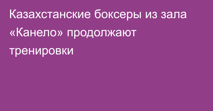 Казахстанские боксеры из зала «Канело» продолжают тренировки