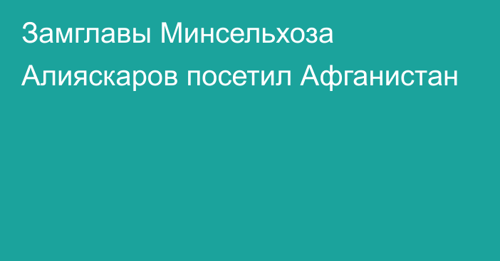 Замглавы Минсельхоза Алияскаров посетил Афганистан