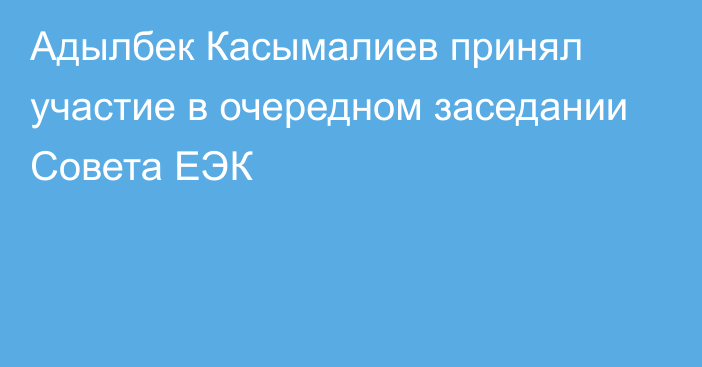 Адылбек Касымалиев принял участие в очередном заседании Совета ЕЭК