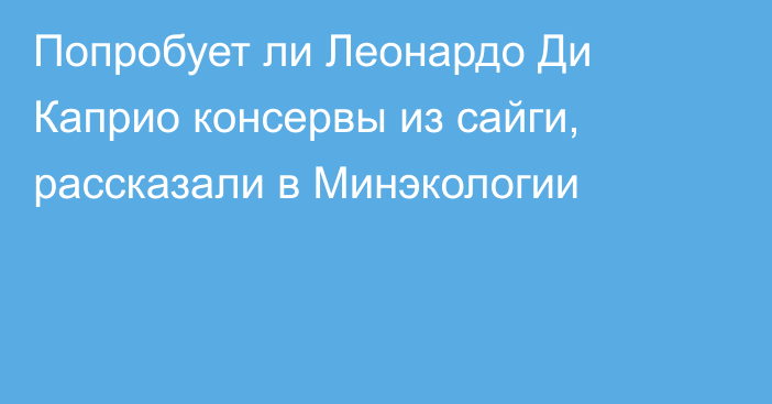 Попробует ли Леонардо Ди Каприо консервы из сайги, рассказали в Минэкологии