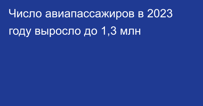 Число авиапассажиров в 2023 году выросло до 1,3 млн