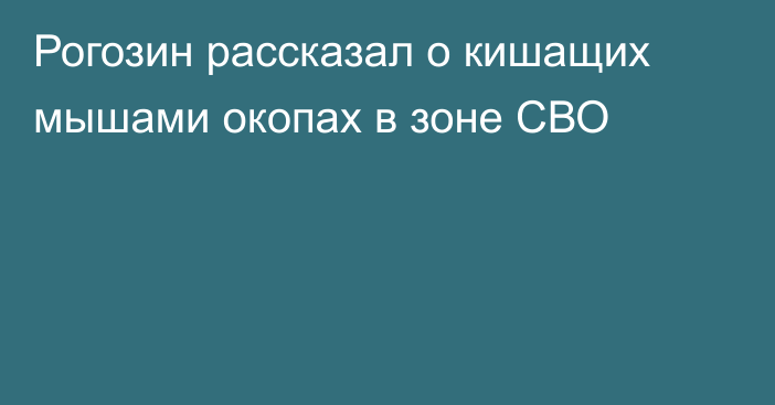 Рогозин рассказал о кишащих мышами окопах в зоне СВО