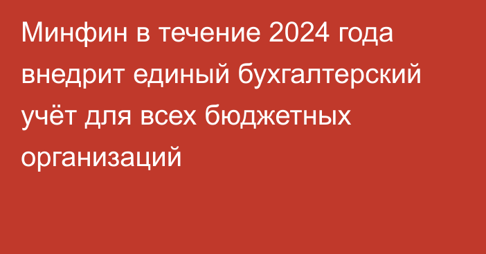 Минфин в течение 2024 года внедрит единый бухгалтерский учёт для всех бюджетных организаций