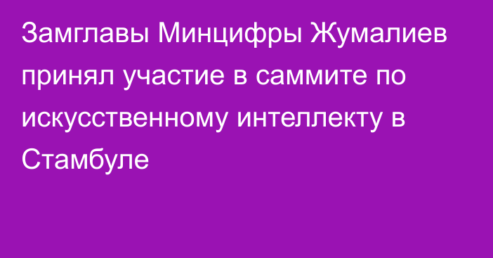 Замглавы Минцифры Жумалиев принял участие в саммите по искусственному интеллекту в Стамбуле