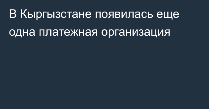 В Кыргызстане появилась еще одна платежная организация