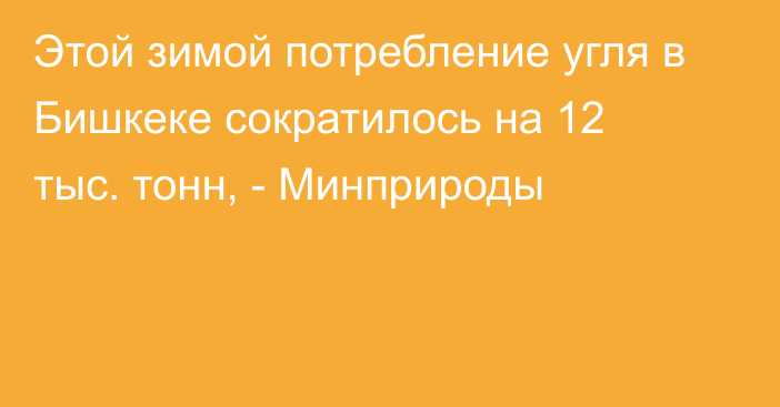 Этой зимой потребление угля в Бишкеке сократилось на 12 тыс. тонн, - Минприроды