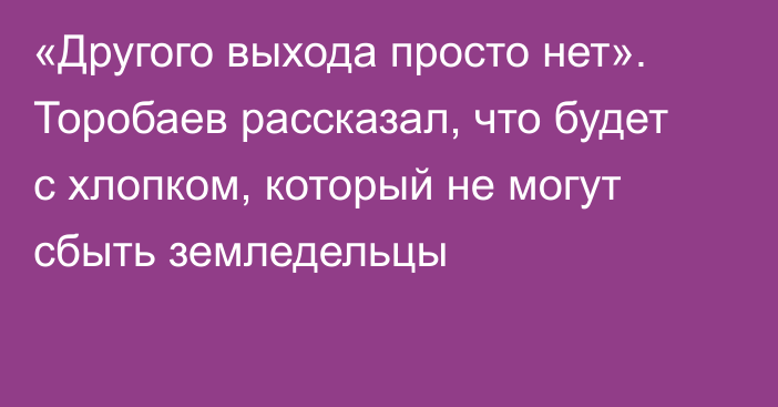 «Другого выхода просто нет». Торобаев рассказал, что будет с хлопком, который не могут сбыть земледельцы