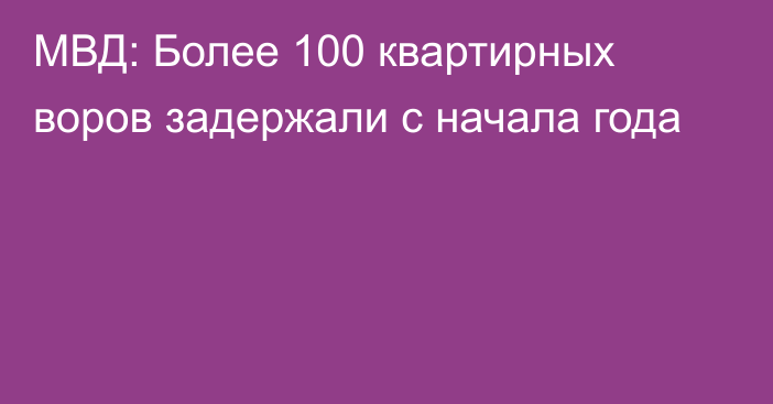 МВД: Более 100 квартирных воров задержали с начала года