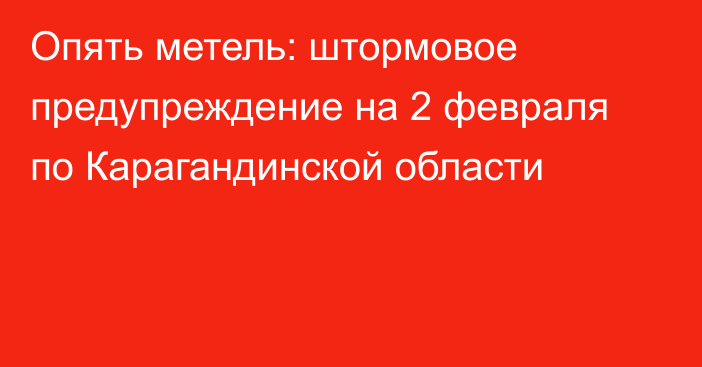 Опять метель: штормовое предупреждение на 2 февраля по Карагандинской области