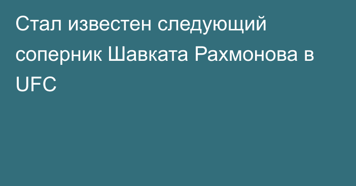 Стал известен следующий соперник Шавката Рахмонова в UFC