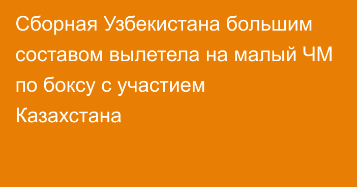 Сборная Узбекистана большим составом вылетела на малый ЧМ по боксу с участием Казахстана