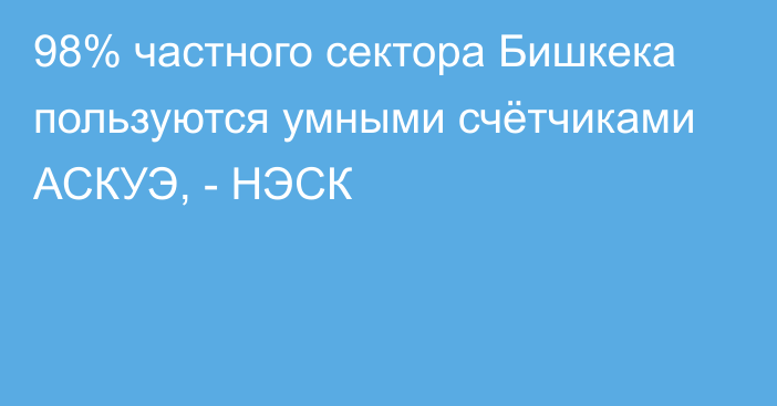 98% частного сектора Бишкека пользуются умными счётчиками АСКУЭ, - НЭСК