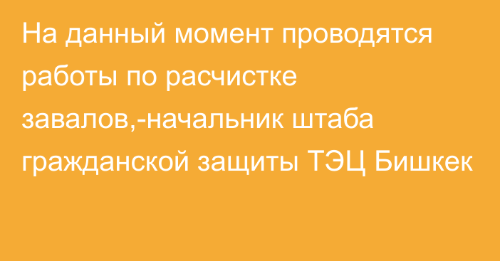 На данный момент проводятся работы по  расчистке завалов,-начальник штаба гражданской защиты ТЭЦ Бишкек