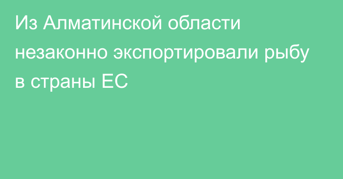 Из Алматинской области незаконно экспортировали рыбу в страны ЕС