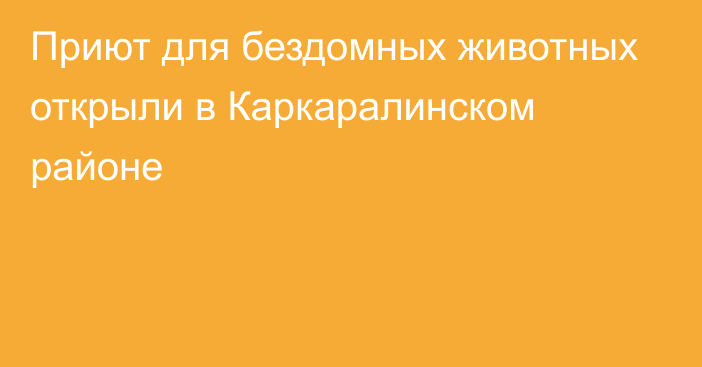 Приют для бездомных животных открыли в Каркаралинском районе