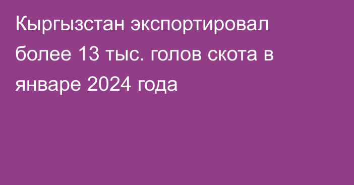 Кыргызстан экспортировал более 13 тыс. голов скота в январе 2024 года