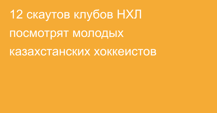 12 скаутов клубов НХЛ посмотрят молодых казахстанских хоккеистов